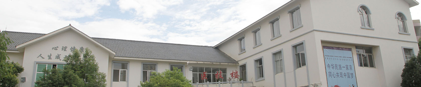科研教学