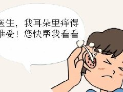 【健康科普】耳真菌病——耳朵里长出小蘑菇
