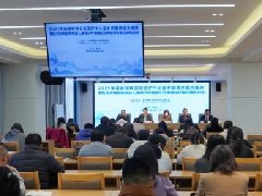 2025年滇南精神区域医疗中心县乡联盟体能力提升培训班在红河州第二人民医院